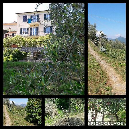 Rural House Rondini Hotel Camposasco Buitenkant foto
