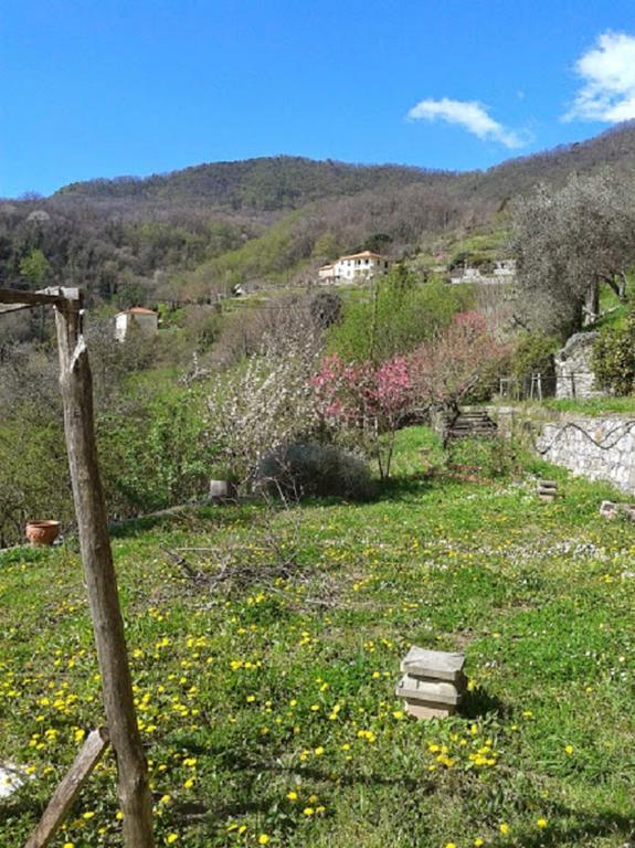 Rural House Rondini Hotel Camposasco Buitenkant foto
